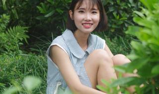 青青河边草分集介绍